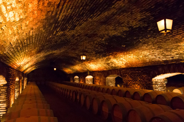 Dungeons-Wine_Cellar_in_Santiago-Chile-Fine_Travel