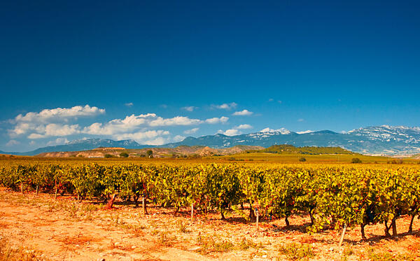 La_Rioja_wine_region