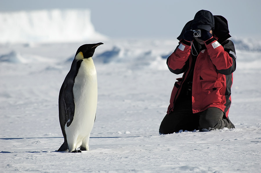 Antartica-Holiday-Packages-Fine-Travel