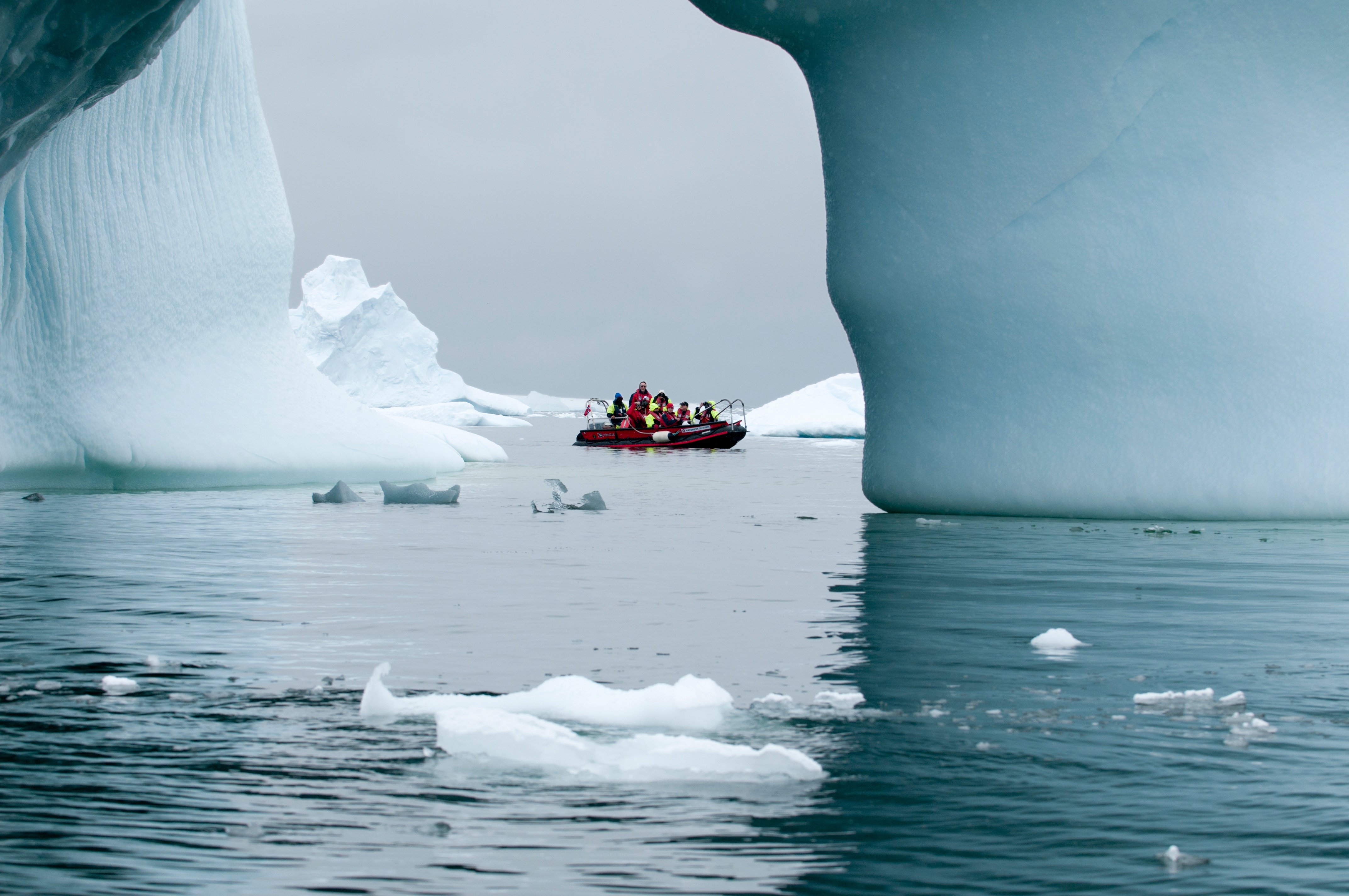 Antarctica Zodiac