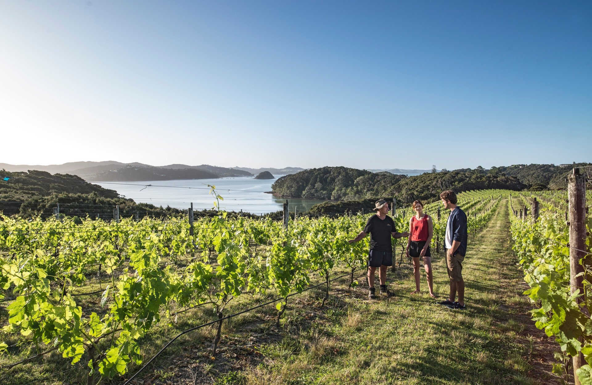 3-Bay-Of-Islands-Northland-Alistair-Guthrie