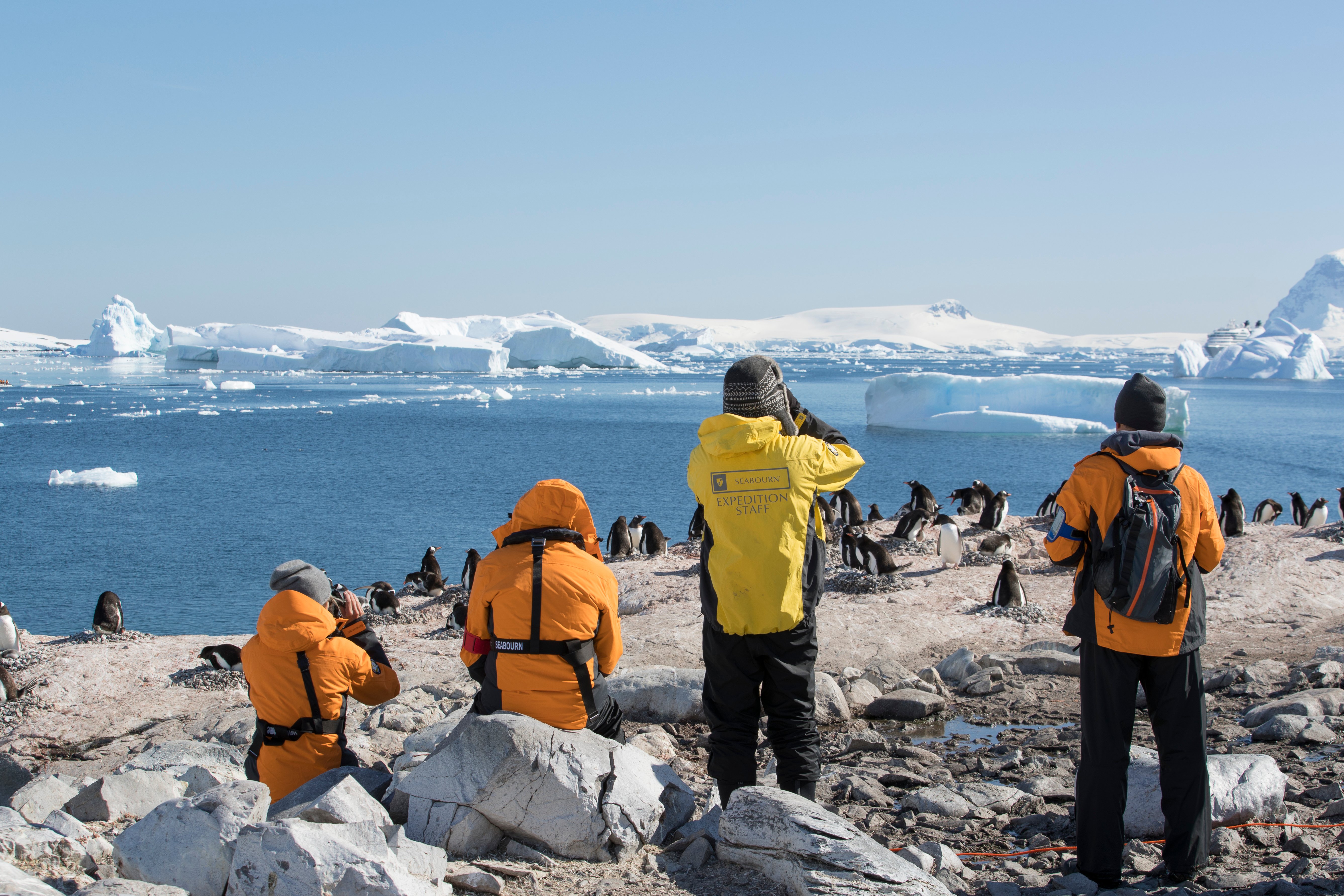 SBN-RSAY17-Onshore-Seabourn Guests with Expedition Staff-Cuverville Island-Antarctica