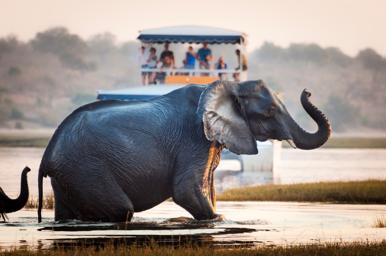 8-reasons-why-to-experience-a-safari-holiday