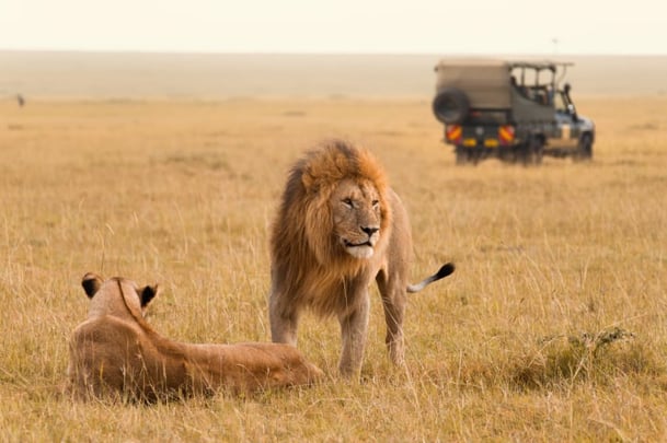 African_Safari_Holiday.jpg