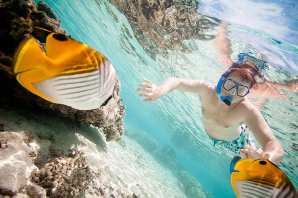 29._Pacific_Resort_Rarotonga_-_Marine_Life.jpg